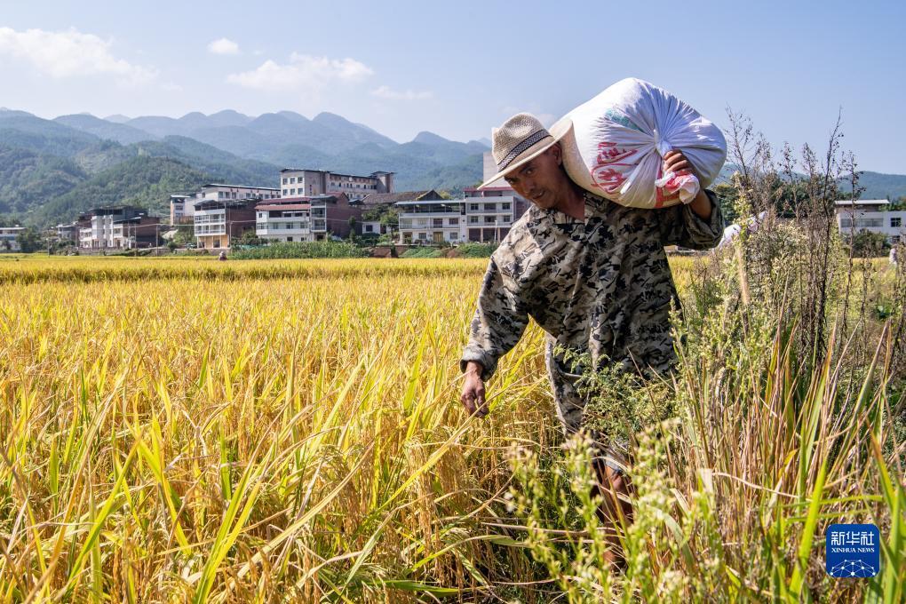 拉菲平台官网